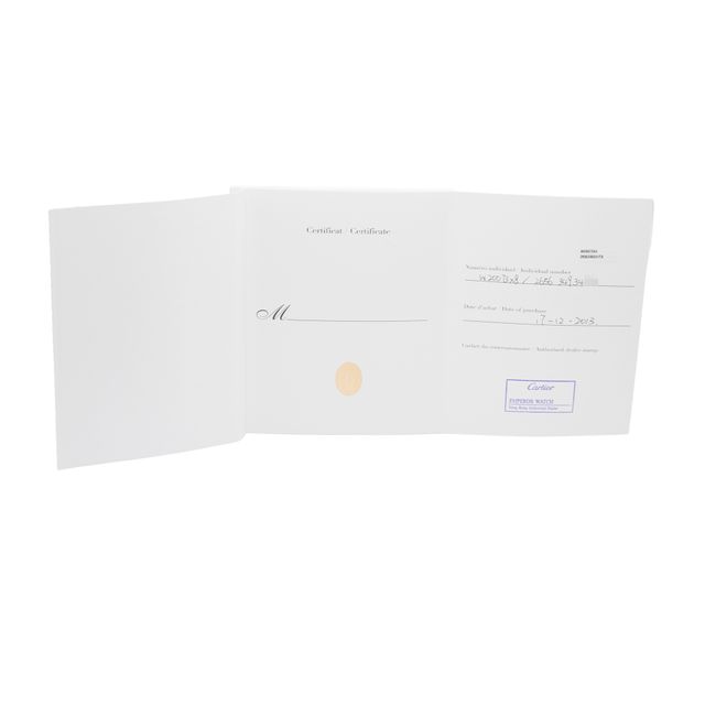 Cartier Santos 100 W20073X8 Image 3